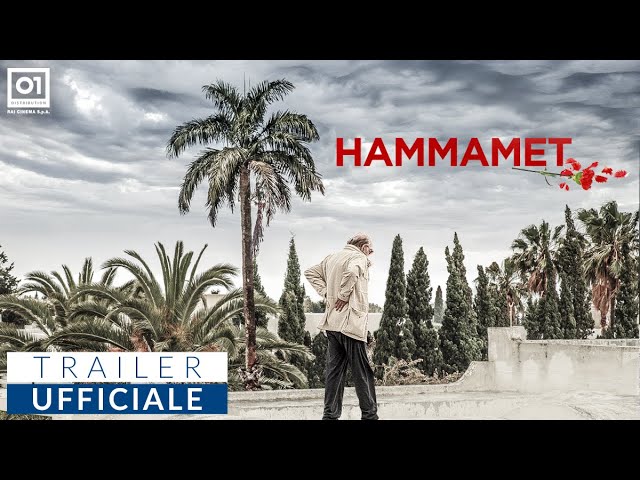 hammamet box office italia weekend