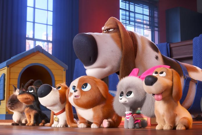 4028x2692_PETS2_INTL_ENG_DIGITAL_STILL3 pets 2