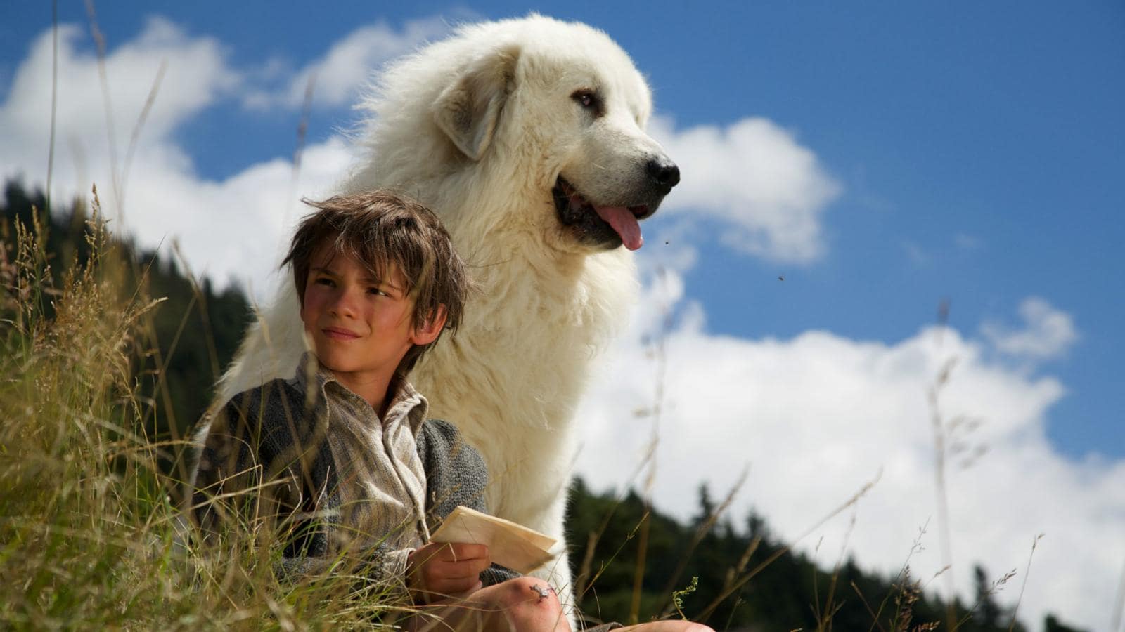 Belle e Sebastien, Amici per sempre la trama del film su Rai Movie Belle e Sebastien, Amici per sempre la trama del film su Rai Movie
