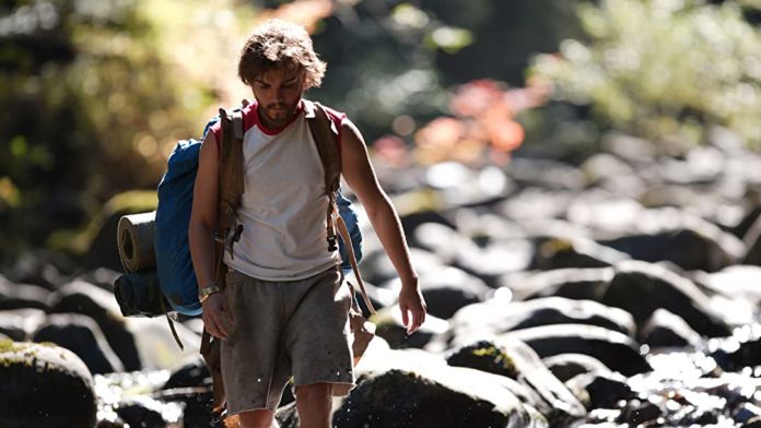 into the wild into the wild