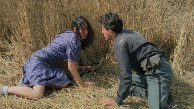 La Notte di San Lorenzo la trama del film su Rai Movie ...