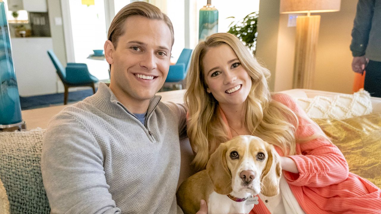 Amarsi come Cani e Gatti la trama del film stasera mercoledì 23 marzo su Rai Premium Amarsi come Cani e Gatti la trama del film stasera mercoledì 23 marzo su Rai Premium