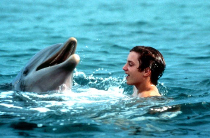 Flipper (1996) Giornata degli oceani su sky