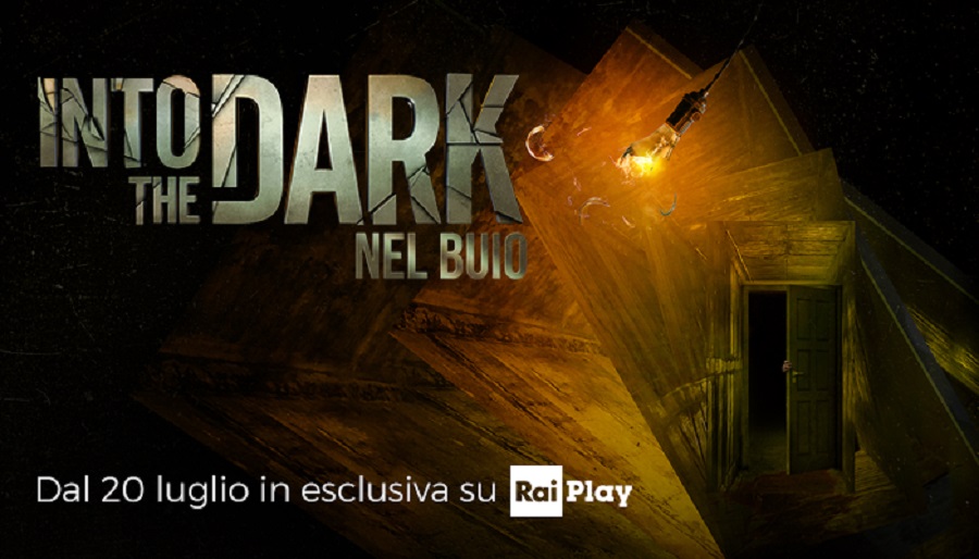 in the dark serie