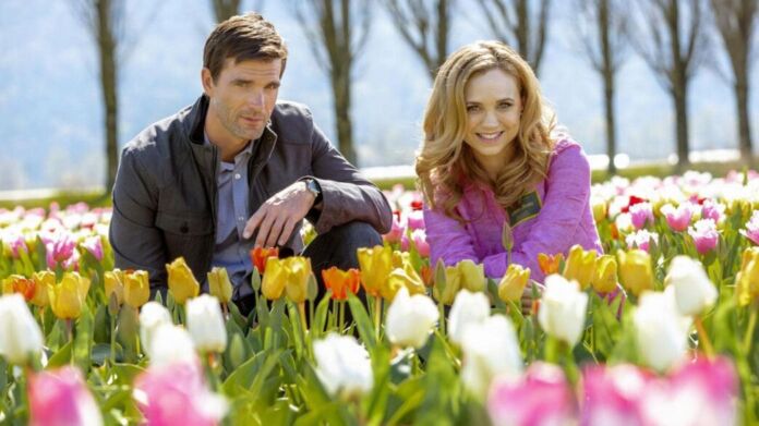I tulipani dellamore i tulipani dell'amore
