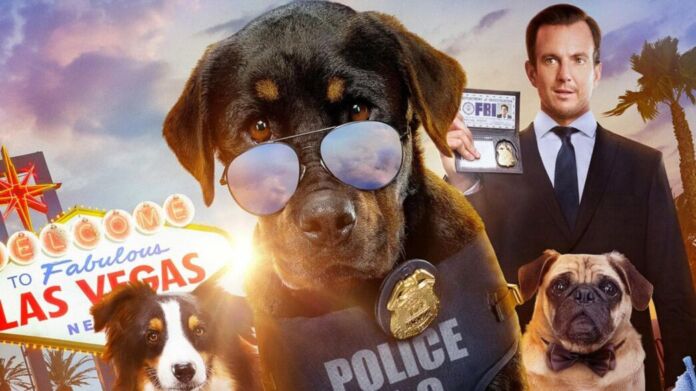 Show Dogs Show Dogs
