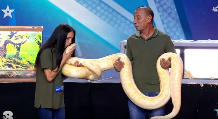 italia's got talent 2021 italia's got talent 2021