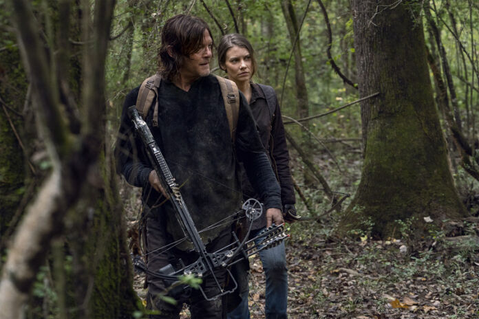 the walking Dead The Walking Dead