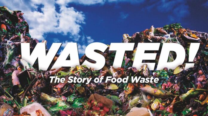 wasted Wasted