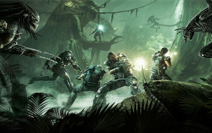 alien vs predator Alien vs predator