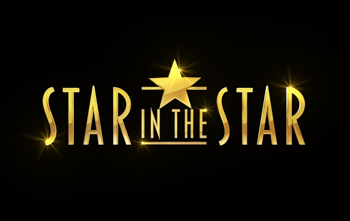 Logo_StarInTheStar star in the star