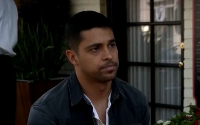 valderrama wilmer valderrama zorro