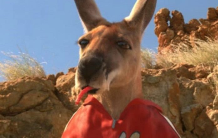 Kangaroo Jack - Prendi i soldi e salta scena dal film