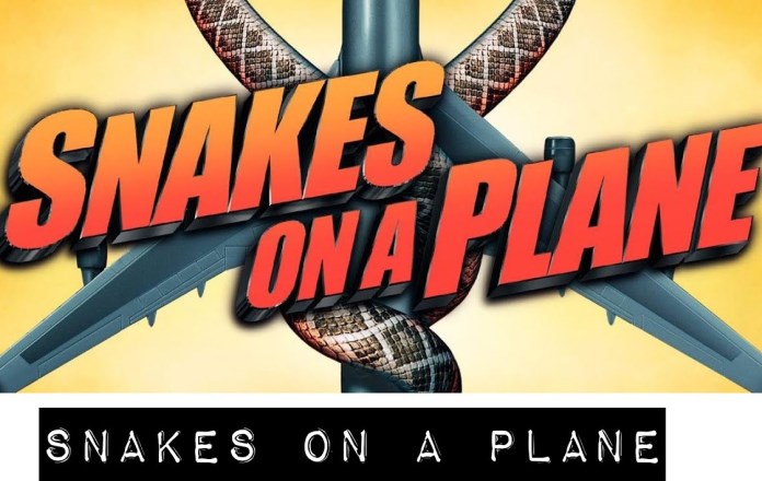 snakes-on-a-plane snakes on a plane