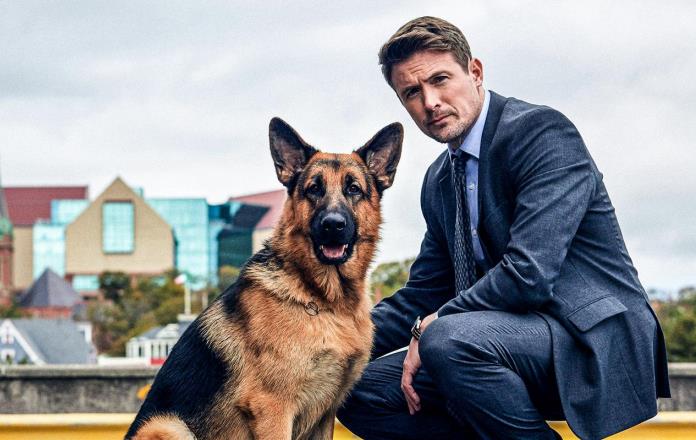 Hudson e Rex, le puntate della quarta stagione il 5 agosto su Rai 3 in seconda serata Hudson e Rex, le puntate della quarta stagione il 5 agosto su Rai 3 in seconda serata