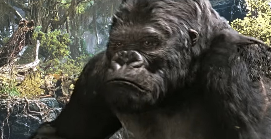 Notizie serie tv 24 agosto 2022: Disney+ vuole rifare King Kong Notizie serie tv 24 agosto 2022: Disney+ vuole rifare King Kong