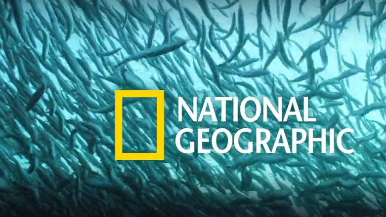 I canali National Geographic su Sky chiudono dal 1° ottobre I canali National Geographic su Sky chiudono dal 1° ottobre