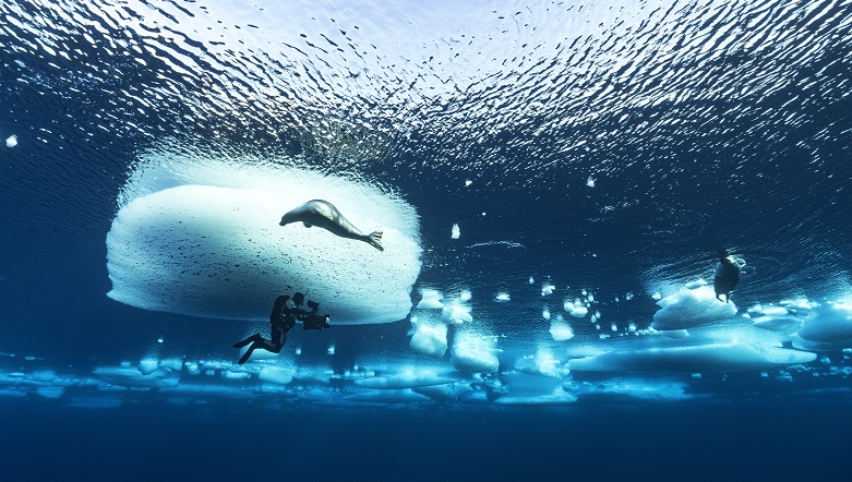 Frozen Planet II, la docu-serie su Rete 4 da giovedì 29 dicembre Frozen Planet II, la docu-serie su Rete 4 da giovedì 29 dicembre