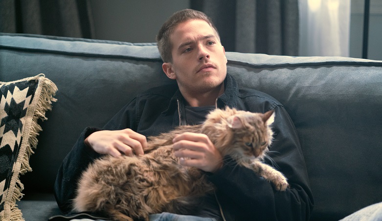 Uno splendido disastro, su Prime Video un film che non è splendido ma tende al disastro – La recensione Uno splendido disastro, su Prime Video un film che non è splendido ma tende al disastro – La recensione