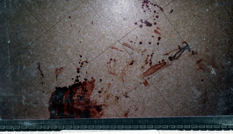 Blood Detectives – Legami di Sangue su Sky Crime da lunedì 15 gennaio Blood Detectives – Legami di Sangue su Sky Crime da lunedì 15 gennaio