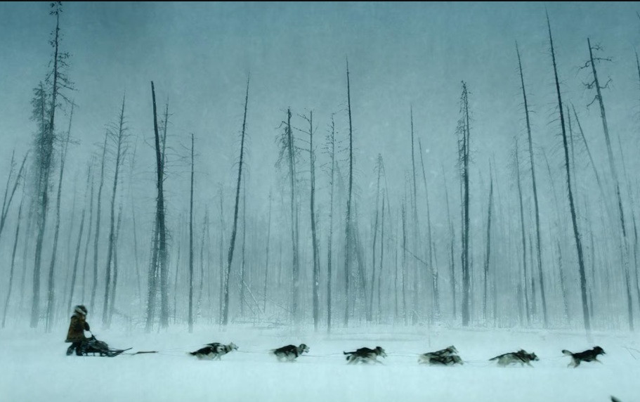 Togo – Una grande amicizia, il film Disney stasera in tv Togo – Una grande amicizia, il film Disney stasera in tv