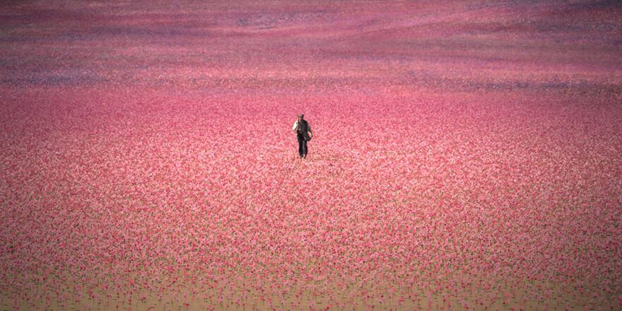 La Casa degli Spiriti, su Prime Video ad aprile l’adattamento del romanzo di Isabelle Allende La Casa degli Spiriti, su Prime Video ad aprile l’adattamento del romanzo di Isabelle Allende