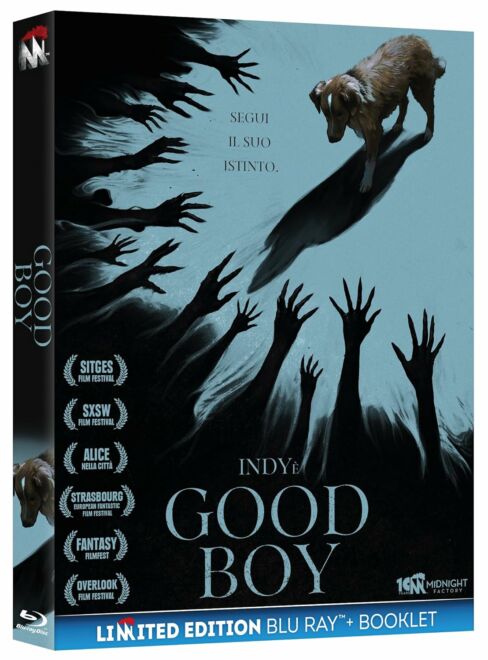 good-boy-blu-ray-midnight-factory.jpg