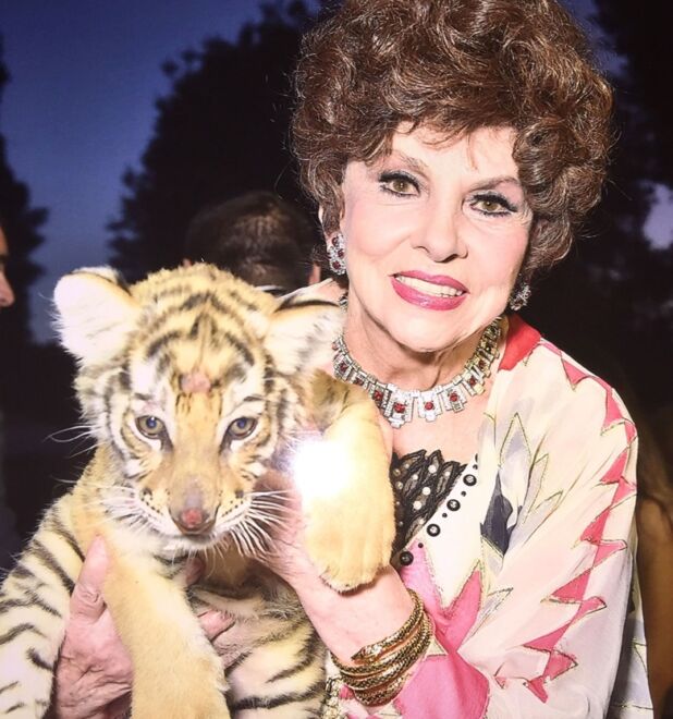 Gina Lollobrigida