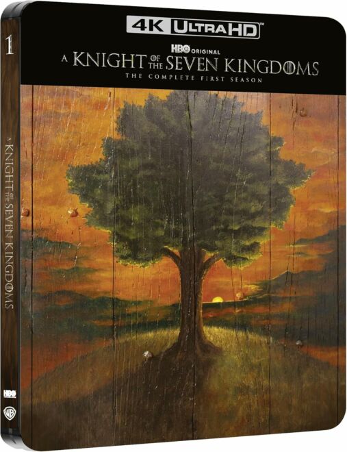 a-knight-of-the-seven-kingdoms-home-video-warner-bros-arv-italia.jpg