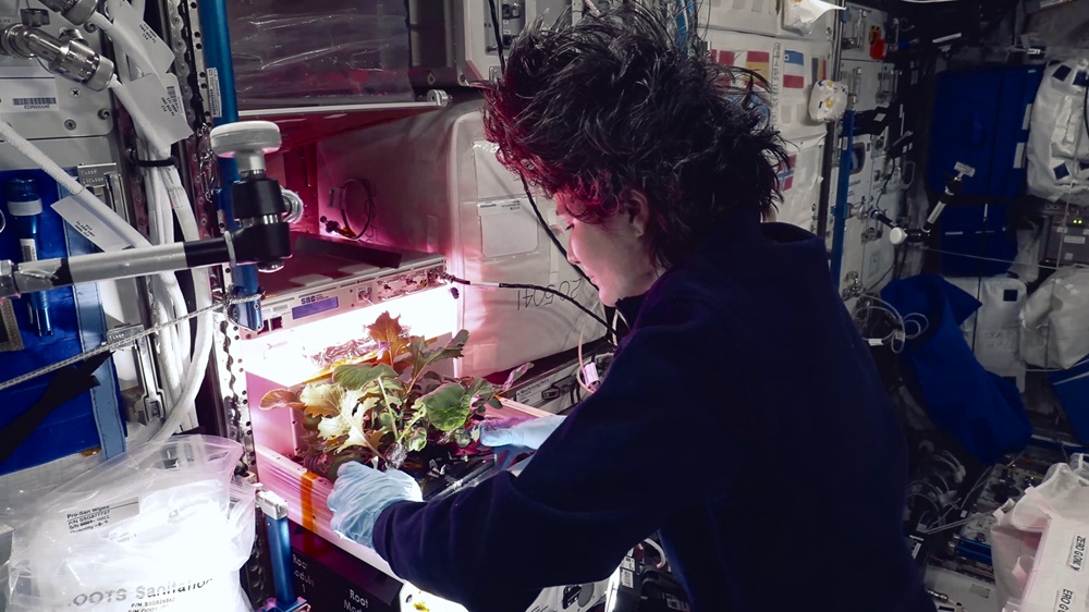 Il cibo del Futuro