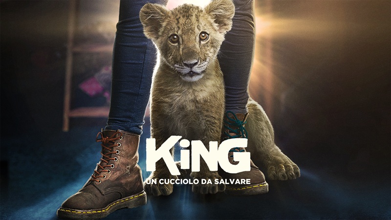 King – Un cucciolo da salvare: trama, cast e dove vedere il film su Italia 1 King – Un cucciolo da salvare: trama, cast e dove vedere il film su Italia 1