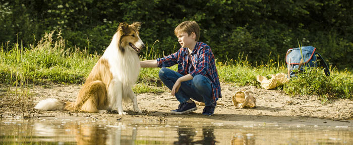 Lassie torna a casa